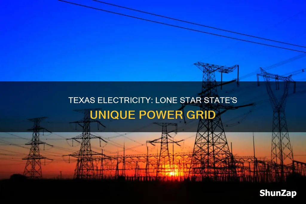 does texas have their own electric grid