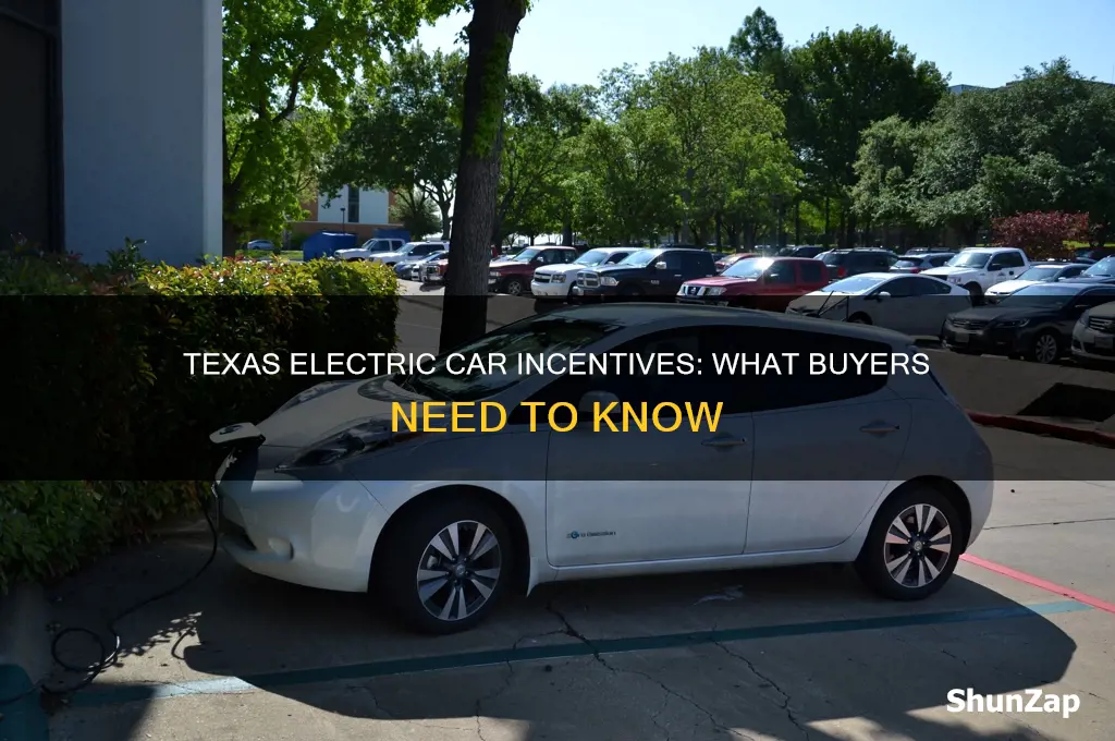 does texas offer incentives for electric cars