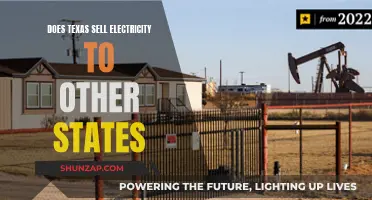 Texas' Electricity: Powering Neighbors or Lone Star Exclusive?