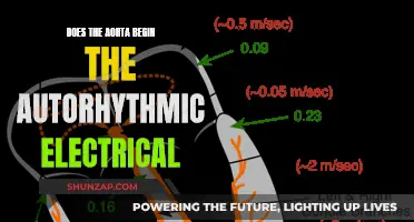 The Aorta's Electrical Autorhythmic Nature: Explained
