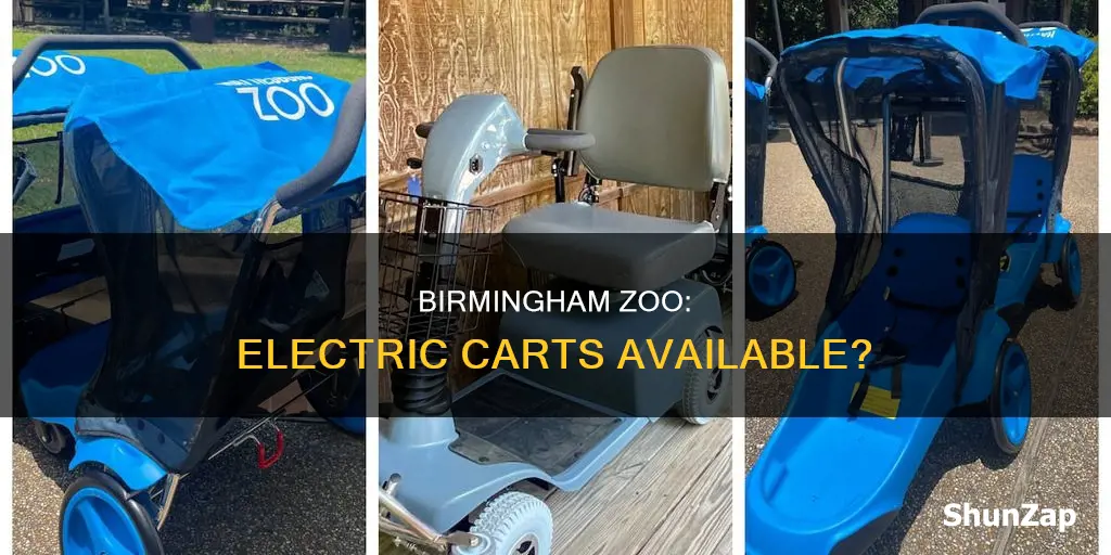 does the birmingham zoo have electric carts
