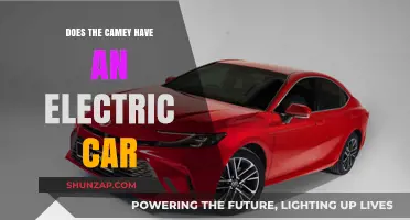 Does Camey Offer an Electric Car? Exploring Eco-Friendly Options