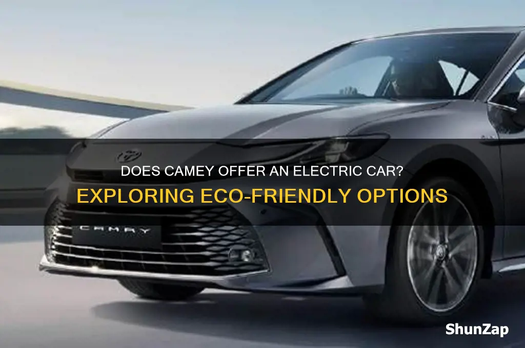 does the camey have an electric car
