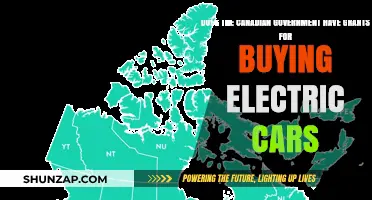 Canadian Government Grants: Boosting Electric Car Ownership Affordably