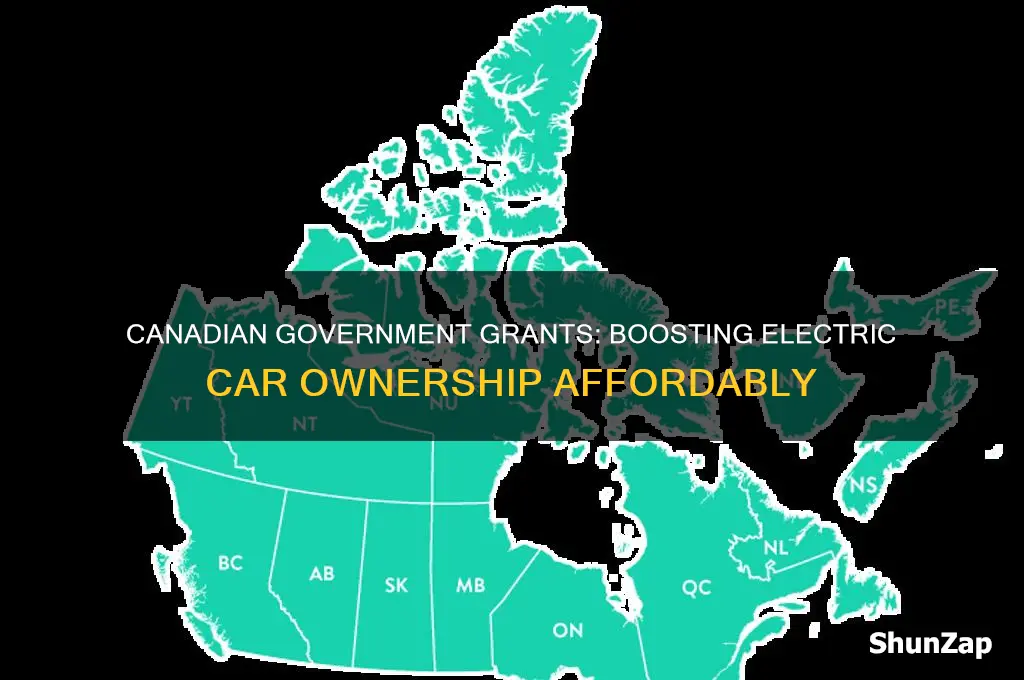 does the canadian government have grants for buying electric cars