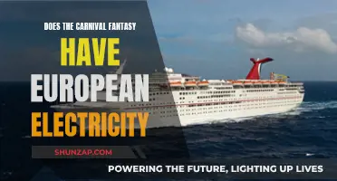 Electricity on Carnival Fantasy: European Standard or Adaptation?