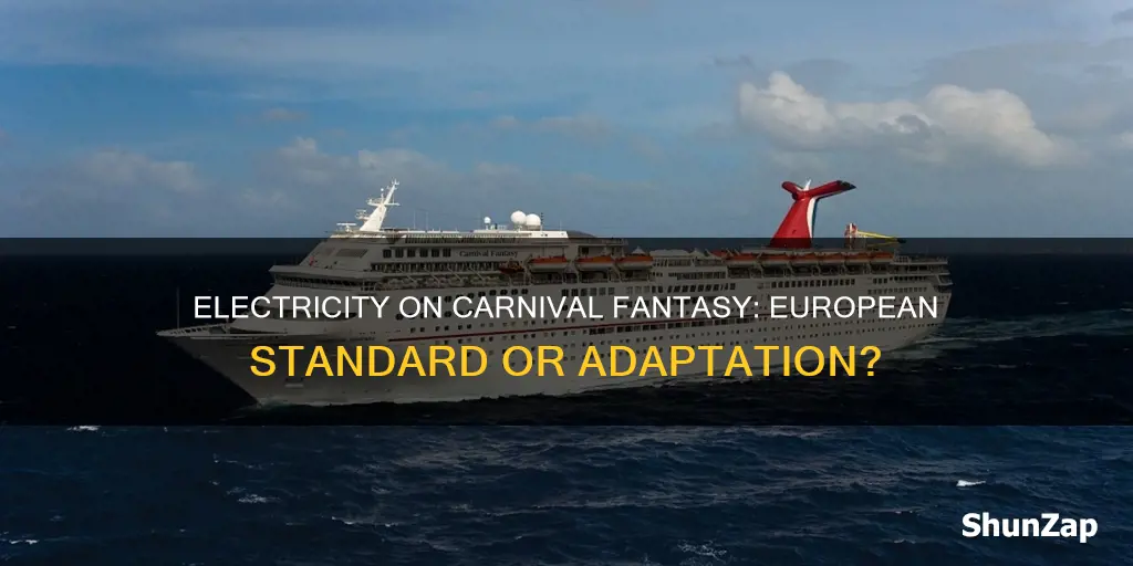 does the carnival fantasy have european electricity