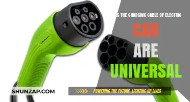 Are Electric Car Charging Cables Universal? Compatibility Explained