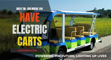 Electric Carts at the Children's Zoo: A Fun, Eco-Friendly Adventure