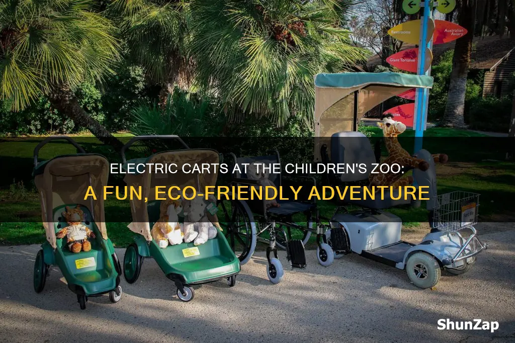does the childrens zoo have electric carts