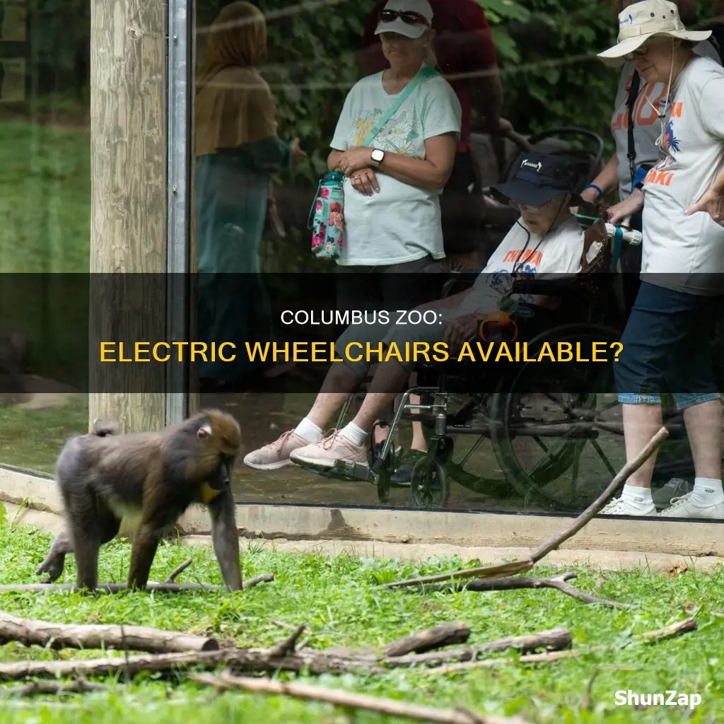 does the columbus zoo have electric wheelchairs