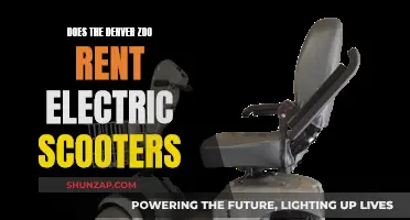 Denver Zoo's Electric Scooter Rental: What You Need to Know
