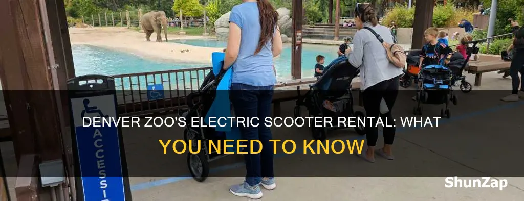 does the denver zoo rent electric scooters