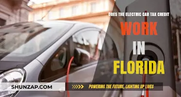 Florida's Electric Car Tax Credit: How It Works and Who Benefits