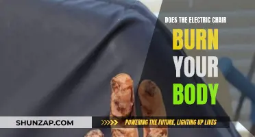 Electric Chair's Burning Question: Body Burn or Not?