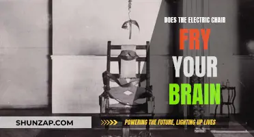 The Electric Chair: Brain Frying Execution?