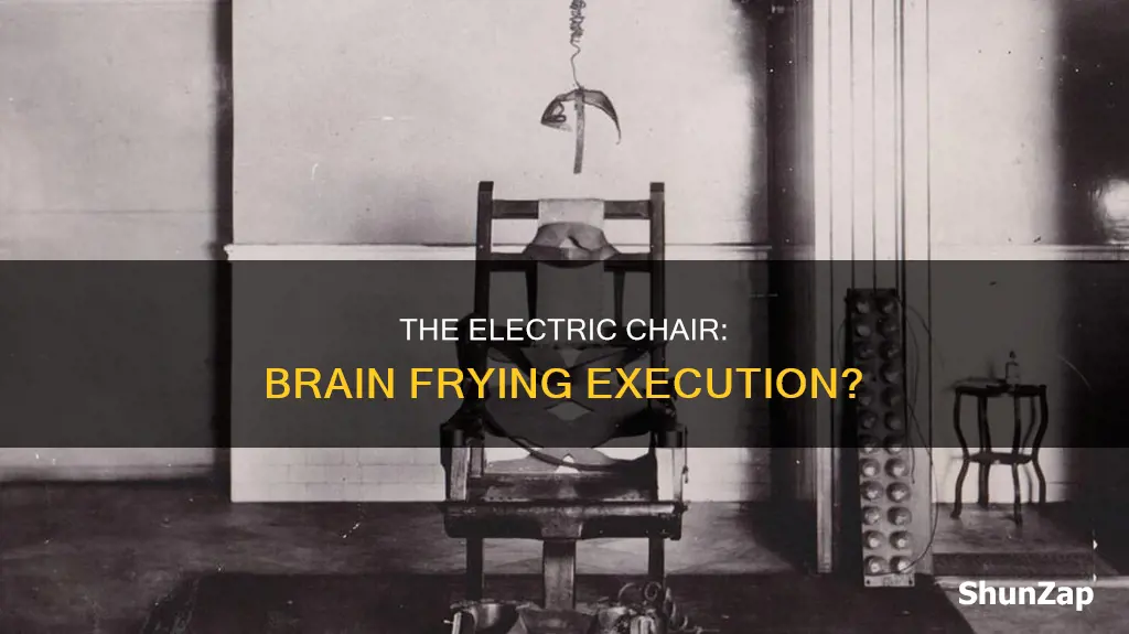 does the electric chair fry your brain