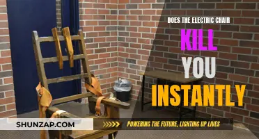 Electric Chair Execution: Instant Death or Slow Torture?