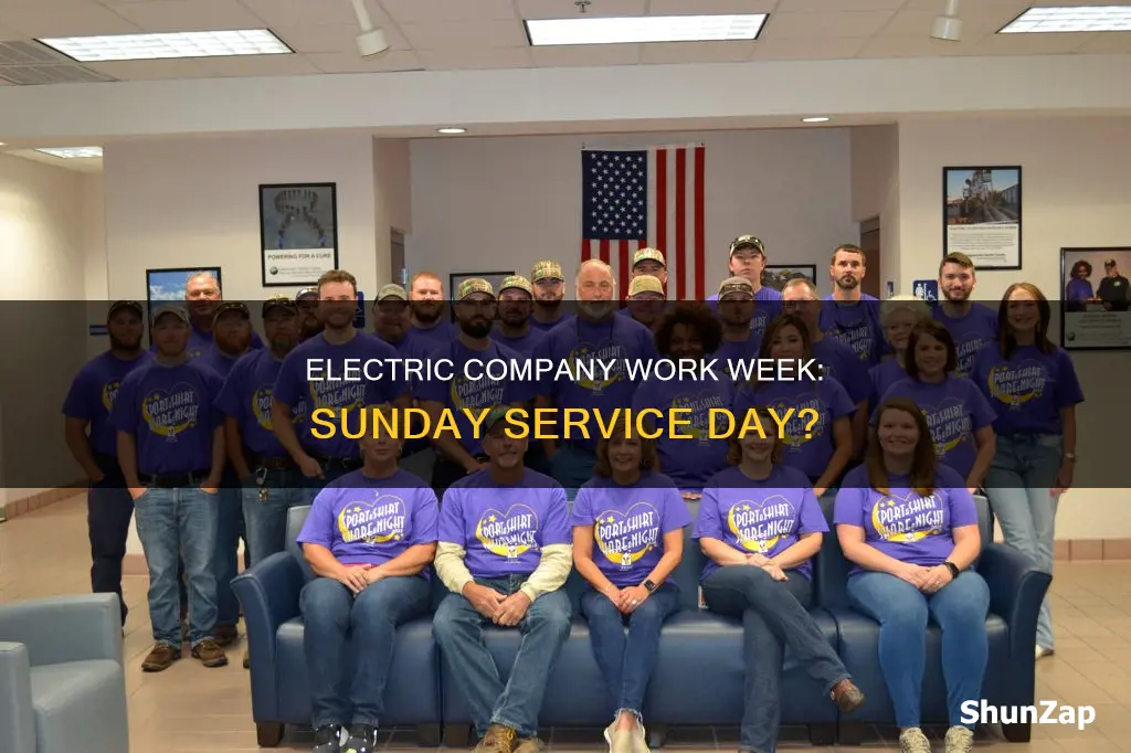 does the electric company count sunday as a service day