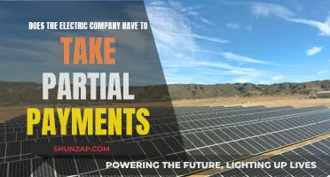 Electric Company: Partial Payments and Your Rights