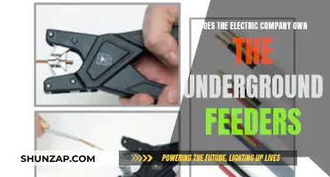 Who Owns Underground Power Feeders? Electric Company's Responsibility?