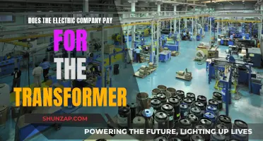 Who Pays for Electric Transformers and Why?