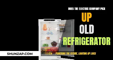 How to Dispose of Old Fridges: Electric Company's Responsibility?