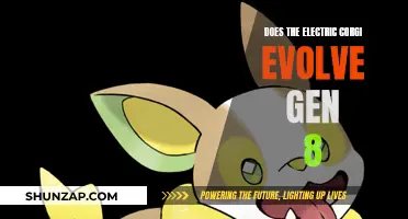 Electric Corgi Evolution: Gen 8 and Beyond