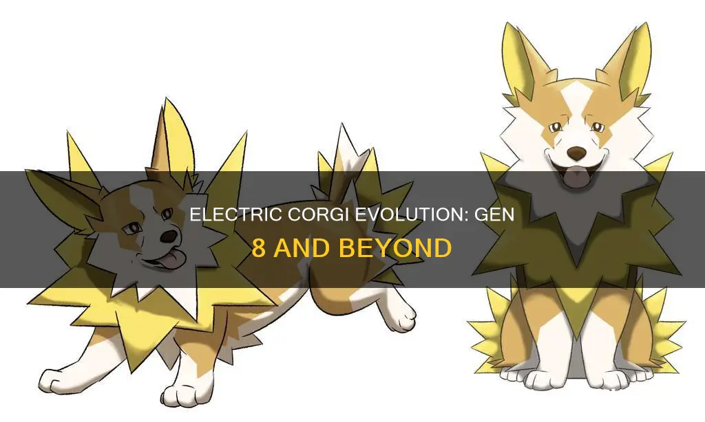 does the electric corgi evolve gen 8