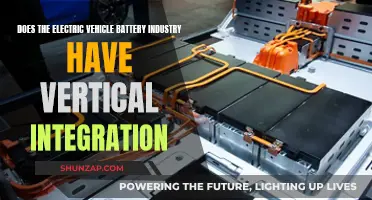 Electric Vehicle Battery Industry: Vertical Integration's Future?