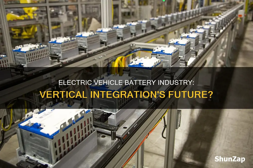 does the electric vehicle battery industry have vertical integration