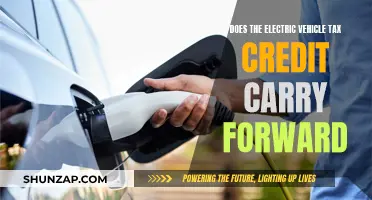 Electric Vehicle Tax Credit: Carry Forward or Claim Now?