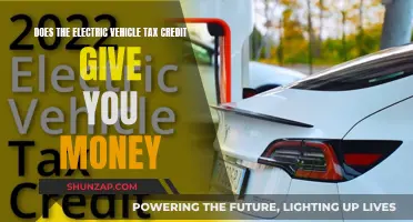 Electric Vehicle Tax Credit: Money-Back for Buyers?