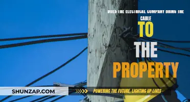 Electrical Company's Cable Conundrum: Who's Responsible for What?