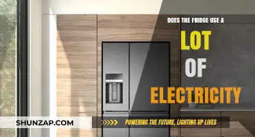 Does Your Fridge Use a Lot of Electricity?