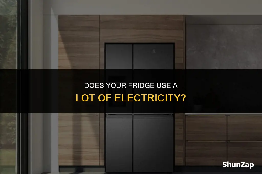 does the fridge use a lot of electricity