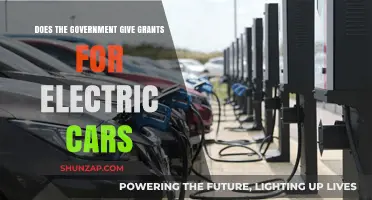 Government Grants for Electric Cars: What You Need to Know