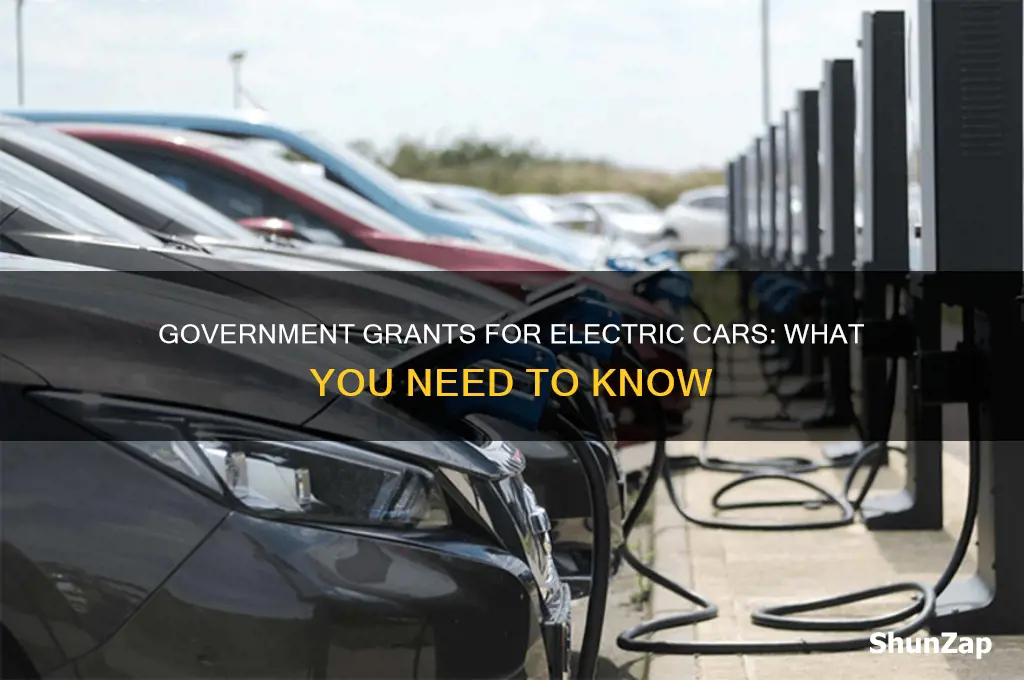 does the government give grants for electric cars
