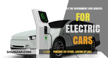 Government Rebates for Electric Cars: What You Need to Know