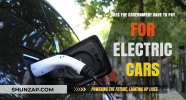 Should Governments Fund Electric Cars? Exploring Public Investment in EV Adoption