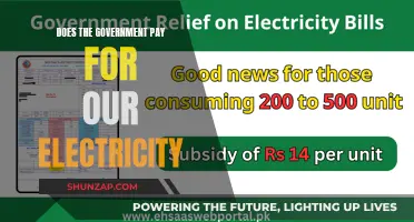 Who Pays for Electricity? Government Funding and Your Bills