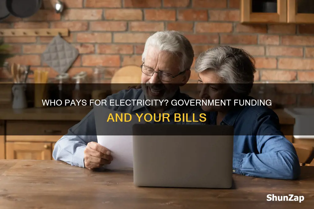 does the government pay for our electricity
