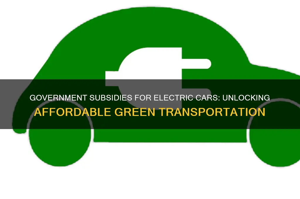 does the government subsidise electric cars