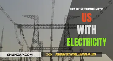 Electricity Supply: Government's Role and Responsibility Explored