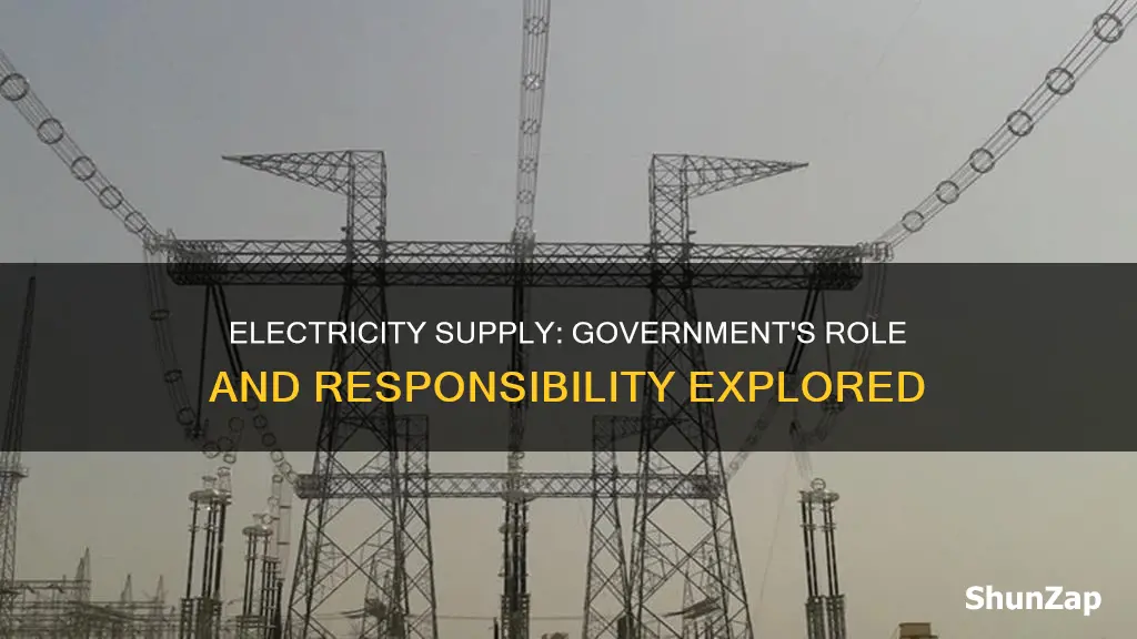 does the government supply us with electricity