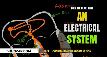 The Heart's Electrical System: How It Works and Why