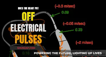 The Heart's Electrical Pulse: What's the Science?