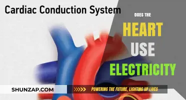 The Electrifying Truth: How Your Heart Uses Electricity