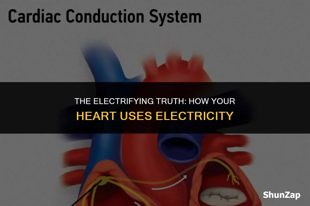 does the heart use electricity