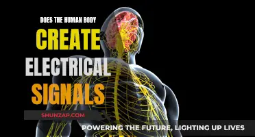 Human Body's Electrical Signals: How and Why?